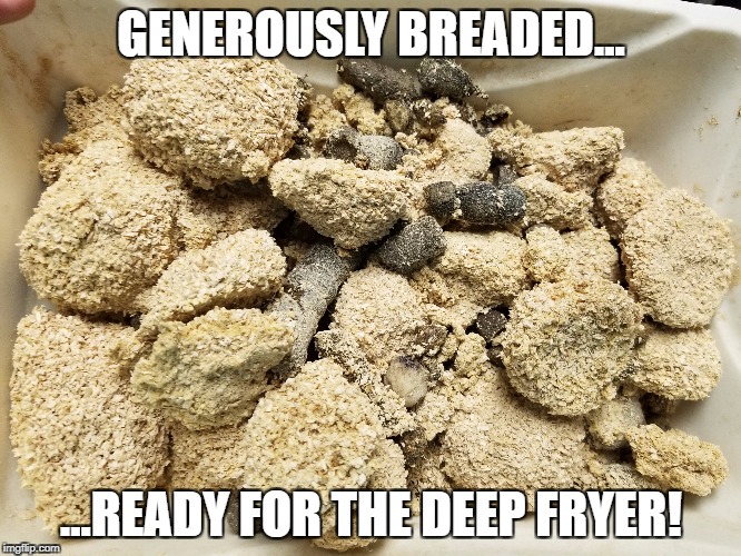 Cat litter | GENEROUSLY BREADED... ...READY FOR THE DEEP FRYER! | image tagged in cats | made w/ Imgflip meme maker