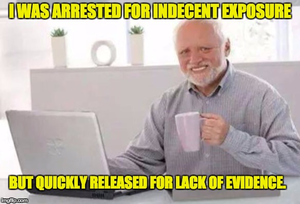 Harold | I WAS ARRESTED FOR INDECENT EXPOSURE; BUT QUICKLY RELEASED FOR LACK OF EVIDENCE. | image tagged in harold | made w/ Imgflip meme maker