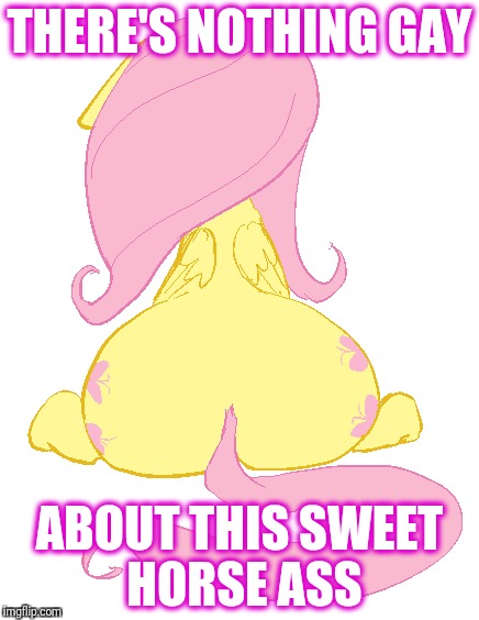 THERE'S NOTHING GAY ABOUT THIS SWEET HORSE ASS | made w/ Imgflip meme maker