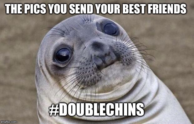 Awkward Moment Sealion | THE PICS YOU SEND YOUR BEST FRIENDS; #DOUBLECHINS | image tagged in memes,awkward moment sealion | made w/ Imgflip meme maker