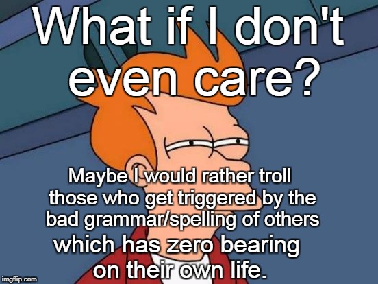 Futurama Fry Meme | What if I don't even care? which has zero bearing on their own life. Maybe I would rather troll those who get triggered by the bad grammar/s | image tagged in memes,futurama fry | made w/ Imgflip meme maker