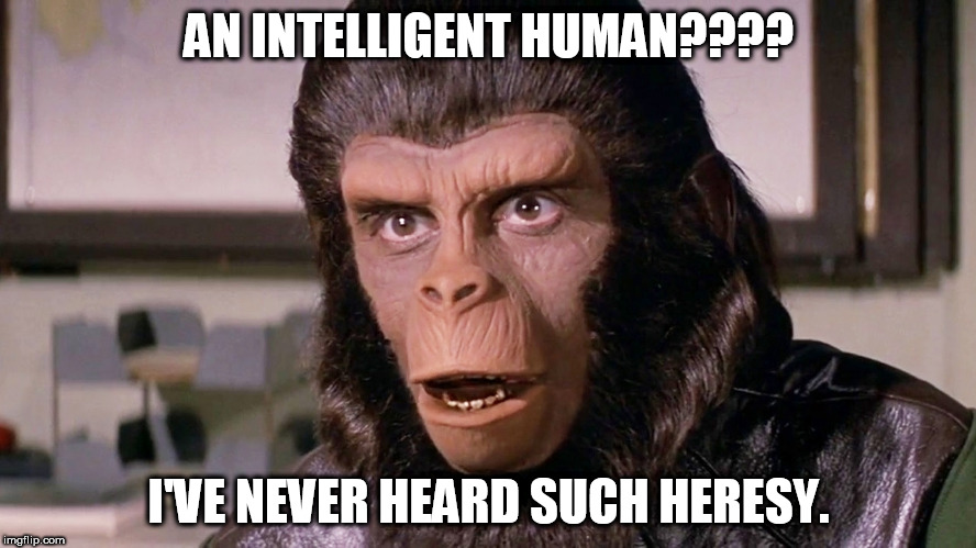 AN INTELLIGENT HUMAN???? I'VE NEVER HEARD SUCH HERESY. | image tagged in england v wales | made w/ Imgflip meme maker