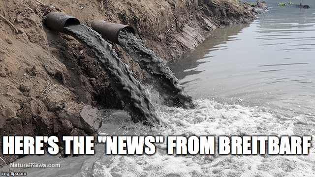 Breitbart sewage | HERE'S THE "NEWS" FROM BREITBARF | image tagged in fake news | made w/ Imgflip meme maker