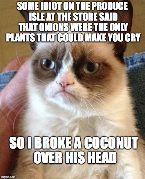 Grumpy Cat | SOME IDIOT ON THE PRODUCE ISLE AT THE STORE SAID THAT ONIONS WERE THE ONLY PLANTS THAT COULD MAKE YOU CRY; SO I BROKE A COCONUT OVER HIS HEAD | image tagged in memes,grumpy cat | made w/ Imgflip meme maker