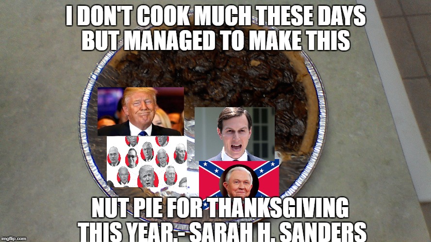pecan pie | I DON'T COOK MUCH THESE DAYS BUT MANAGED TO MAKE THIS; NUT PIE FOR THANKSGIVING THIS YEAR.- SARAH H. SANDERS | image tagged in pecan pie | made w/ Imgflip meme maker