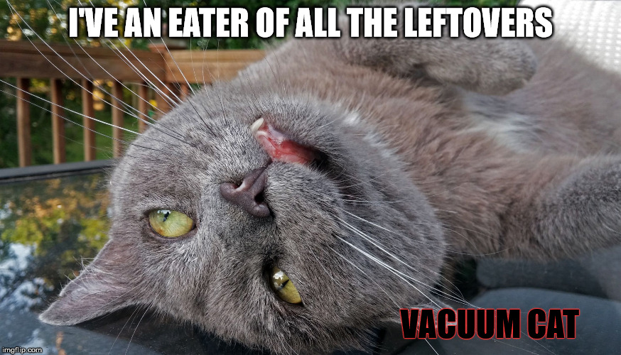 Faded Cat | I'VE AN EATER OF ALL THE LEFTOVERS VACUUM CAT | image tagged in faded cat | made w/ Imgflip meme maker