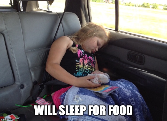 Will sleep for food | WILL SLEEP FOR FOOD | image tagged in food,sleep | made w/ Imgflip meme maker