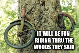 IT WILL BE FUN RIDING THRU THE WOODS THEY SAID | made w/ Imgflip meme maker
