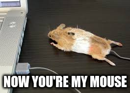 NOW YOU'RE MY MOUSE | made w/ Imgflip meme maker