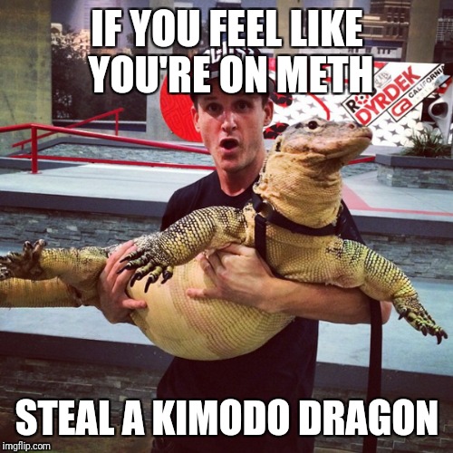 IF YOU FEEL LIKE YOU'RE ON METH STEAL A KIMODO DRAGON | made w/ Imgflip meme maker