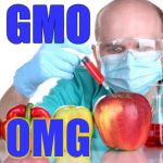 gmo fruits vegetables | GMO; OMG | image tagged in gmo fruits vegetables | made w/ Imgflip meme maker
