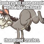 And that excludes the democrats' actions. | Donkeys kill more people worldwide each year; than plane crashes. | image tagged in donkey,plane,deaths | made w/ Imgflip meme maker