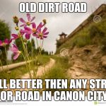 Dirt road beauty | OLD DIRT ROAD; STILL BETTER THEN ANY STREET OR ROAD IN CANON CITY | image tagged in dirt road beauty | made w/ Imgflip meme maker