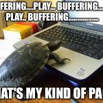 Turtle Computer | BUFFERING....PLAY... BUFFERING........... PLAY.. BUFFERING................. THAT'S MY KIND OF PACE | image tagged in turtle computer | made w/ Imgflip meme maker