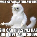 Persian Cat | WHEN IGGY AZALEA TELLS YOU THAT; SHE CAN FREESTYLE RAP ON A LIVE RADIO SHOW | image tagged in persian cat | made w/ Imgflip meme maker