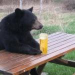 Bad Luck Bear with Beer