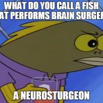 spongebobfish | WHAT DO YOU CALL A FISH THAT PERFORMS BRAIN SURGERY? A NEUROSTURGEON | image tagged in spongebobfish | made w/ Imgflip meme maker