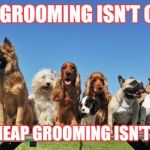 Dogs | GOOD GROOMING ISN'T CHEAP, AND CHEAP GROOMING ISN'T GOOD. | image tagged in dogs | made w/ Imgflip meme maker