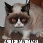 Grumpy Cat | I FINALLY CAUGHT THE RED DOT; AND I SHALL RELEASE ITS FULL POTENTIAL ON YOU | image tagged in grumpy cat red eyes,grumpy cat,evil,red | made w/ Imgflip meme maker