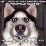 shocked dog | THAT LOOK YOU GET WHEN YOU'RE PRACTICING ON YOUR KEYBOARD AND REALIZE; YOU JUST PLAYED SCALES IN ALL KEY SIGNATURES FLAWLESSLY FOR THE FIRST TIME! | image tagged in shocked dog | made w/ Imgflip meme maker
