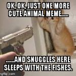 gun menacing kitten | OK, OK, JUST ONE MORE CUTE ANIMAL MEME..... ......AND SNUGGLES HERE SLEEPS WITH THE FISHES. | image tagged in gun menacing kitten | made w/ Imgflip meme maker