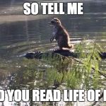 alligators | SO TELL ME; DID YOU READ LIFE OF PI? | image tagged in alligators | made w/ Imgflip meme maker