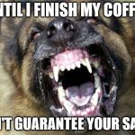 CoffeeDog | UNTIL I FINISH MY COFFEE; I CAN'T GUARANTEE YOUR SAFETY | image tagged in coffeedog | made w/ Imgflip meme maker