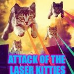 cats | ATTACK OF THE LASER KITTIES | image tagged in cats | made w/ Imgflip meme maker