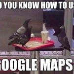Pigeon job interview | DO YOU KNOW HOW TO USE; GOOGLE MAPS? | image tagged in pigeon job interview,memes,my poor try at a pigeon meme | made w/ Imgflip meme maker