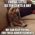 I've never understood those sad animal shelter commericals. | FOR AS LITTLE AS TEN CENTS A DAY; WE CAN KEEP PAYING FOR THESE ADVERTISEMENTS | image tagged in sad dog | made w/ Imgflip meme maker