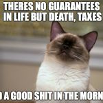 Morning dump kitty | THERES NO GUARANTEES IN LIFE BUT DEATH, TAXES; AND A GOOD SHIT IN THE MORNING | image tagged in high kitty,morning shit | made w/ Imgflip meme maker