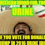 mexican word | THE MEXICAN WORD FOR THE DAY; URINE; IF YOU VOTE FOR DONALD TRUMP IN 2016 URINE IDIOT | image tagged in mexican word | made w/ Imgflip meme maker