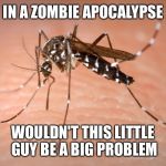 mosquito  | IN A ZOMBIE APOCALYPSE; WOULDN'T THIS LITTLE GUY BE A BIG PROBLEM | image tagged in mosquito | made w/ Imgflip meme maker