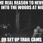 The Rake  | THE REAL REASON TO NEVER GO INTO THE WOODS AT NIGHT; OR SET UP TRAIL CAMS | image tagged in the rake | made w/ Imgflip meme maker