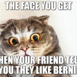 The face you get when your friend tells you they like Bernie | THE FACE YOU GET WHEN YOUR FRIEND TELLS YOU THEY LIKE BERNIE | image tagged in horrified cat,bernie sanders | made w/ Imgflip meme maker