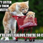 Cats: The Road | DON'T LISTEN TO THEM SWEETIE... THEY'RE JUST JEALOUS YOU'RE SO CUTE. | image tagged in cats the road | made w/ Imgflip meme maker