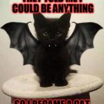 bat cat | THEY TOLD ME I COULD BE ANYTHING; SO I BECAME A CAT | image tagged in bat cat | made w/ Imgflip meme maker