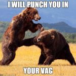 Punching Bear | I WILL PUNCH YOU IN; YOUR VAG | image tagged in punching bear | made w/ Imgflip meme maker