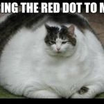 Jabba the cat | BRING THE RED DOT TO ME! | image tagged in fat cat | made w/ Imgflip meme maker