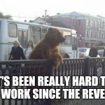 please help in finding jobs for all bears... | IT'S BEEN REALLY HARD TO FIND WORK SINCE THE REVENANT | image tagged in city bear,the revenant,bad luck bear,am i the only one around here,how about no bear,leonardo dicaprio laughing | made w/ Imgflip meme maker