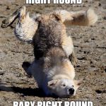 You Spin Me Right Round #2 | YOU SPIN ME RIGHT ROUND; BABY RIGHT ROUND LIKE A RECORD BABY | image tagged in dog breakdancer,music,songs,rick astley,troll,silly | made w/ Imgflip meme maker