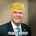 Jeb Trump Bush Hair  | PLEASE VOTE? | image tagged in jeb trump bush hair | made w/ Imgflip meme maker