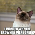 cat brownies | I WONDER WHY THE BROWNIES WERE GREEN? | image tagged in high kitty,stoned cat,stoner kitty | made w/ Imgflip meme maker