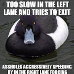 Revenge Duck. | KNOWS THEY'RE GOING TOO SLOW IN THE LEFT LANE AND TRIES TO EXIT; ASSHOLES AGGRESSIVELY SPEEDING BY IN THE RIGHT LANE FORCING THEM TO STAY IN THE FAST LANE | image tagged in revenge duck | made w/ Imgflip meme maker