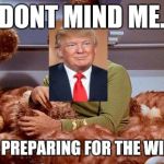 Trump's Hair | DONT MIND ME. JUST PREPARING FOR THE WINTER | image tagged in donald trump's hair ii,donald trump,trump,memes,hair | made w/ Imgflip meme maker