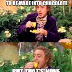 Wonka minds his business | A CHILD JUST GOT SUCKED UP A LARGE A PIPE, AND IS GOING TO BE MADE INTO CHOCOLATE; BUT THAT'S NONE OF MY BUSINESS | image tagged in wonka minds his business | made w/ Imgflip meme maker