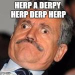 Nerp Derp  | HERP A DERPY HERP DERP HERP | image tagged in nerp derp | made w/ Imgflip meme maker