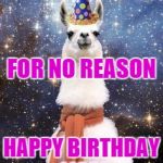 Happy Birthday Alpaca Meme Generator - Imgflip