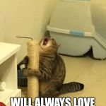 Microphone Cat - I Will Always Love You | AND IIIIIIIIIIIIEEEEEIIIIIIIII; WILL ALWAYS LOVE YOOOUUUUUUU | image tagged in microphone cat | made w/ Imgflip meme maker