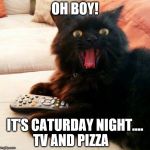 OH BOY! Cat: Caturday Night | OH BOY! IT'S CATURDAY NIGHT.... TV AND PIZZA | image tagged in oh boy cat,memes,pizza,tv,caturday,night | made w/ Imgflip meme maker